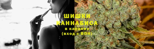 PSILOCYBIN Бугульма